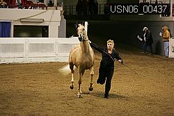 USN06_00437 thumbnail