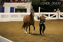 USN06_00439 thumbnail