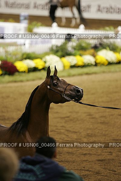 Proof Number USN06_00466
