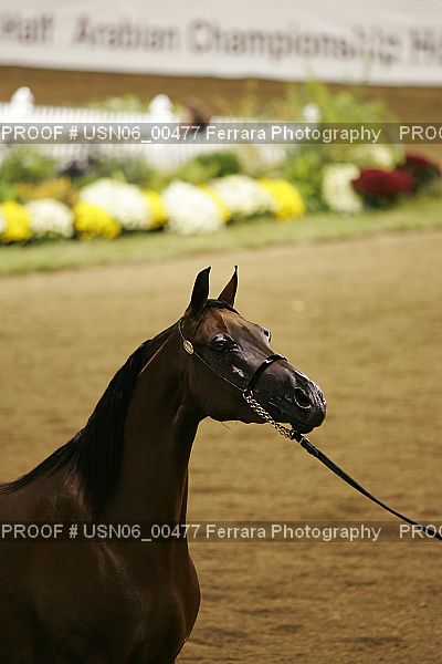 Proof Number USN06_00477