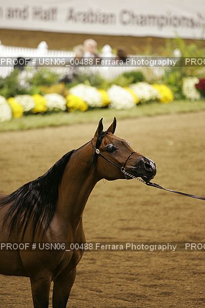 Proof Number USN06_00488