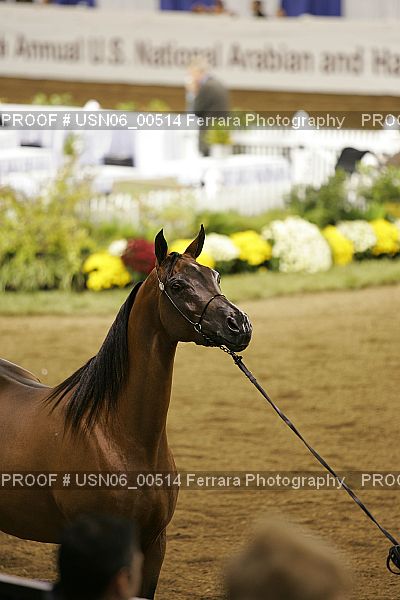 Proof Number USN06_00514