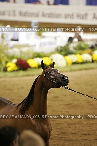 Proof Number USN06_00515
