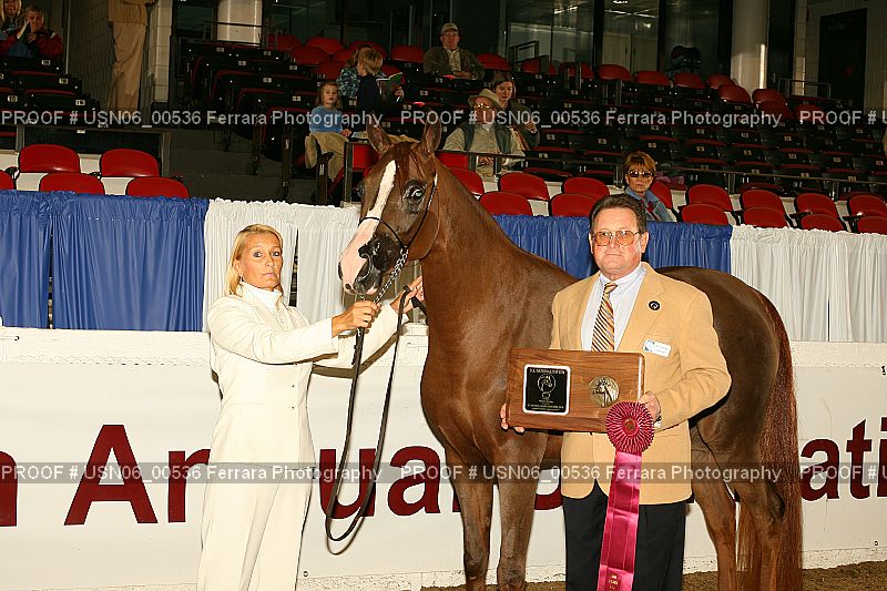 Proof Number USN06_00536