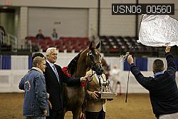 USN06_00560 thumbnail