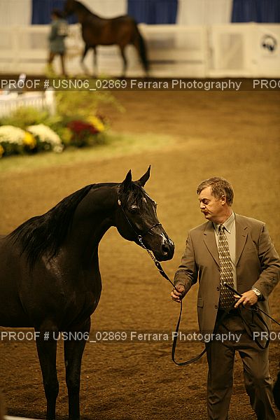 Proof Number USN06_02869