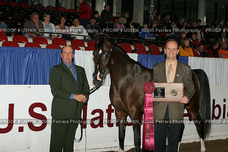 Proof Number USN06_02905
