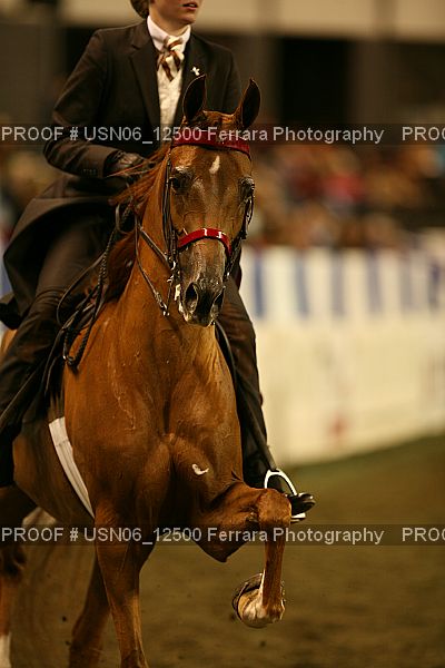 Proof Number USN06_12500