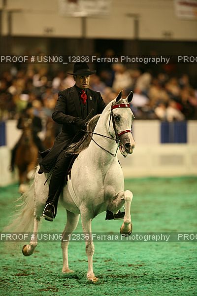 Proof Number USN06_12836