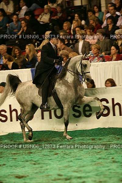 Proof Number USN06_12873