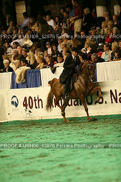 Proof Number USN06_12876