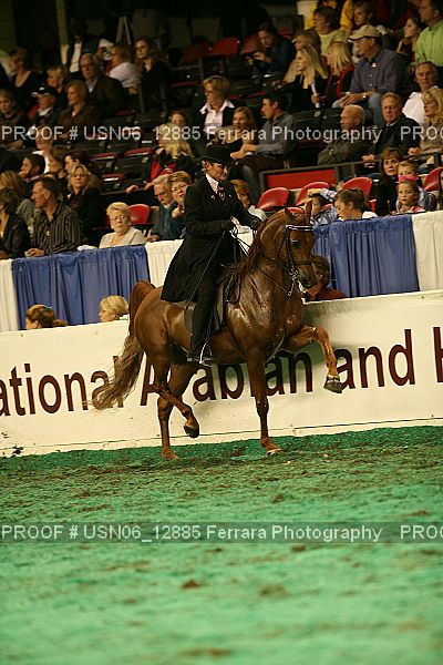Proof Number USN06_12885