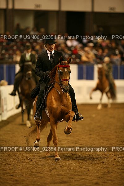 Proof Number USN06_02354