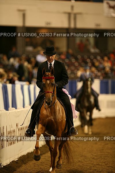 Proof Number USN06_02383