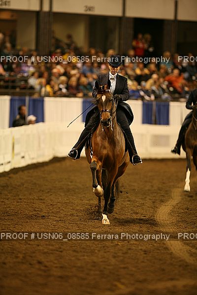 Proof Number USN06_08585