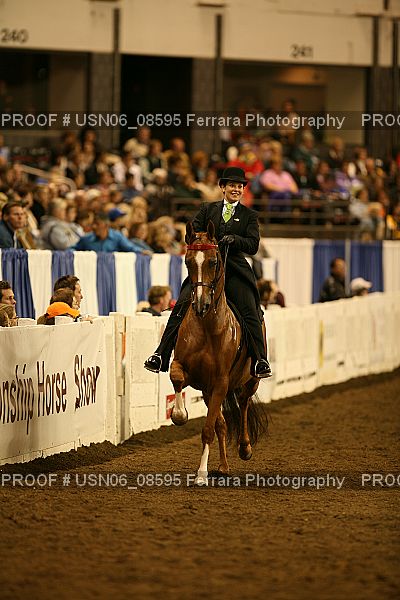 Proof Number USN06_08595