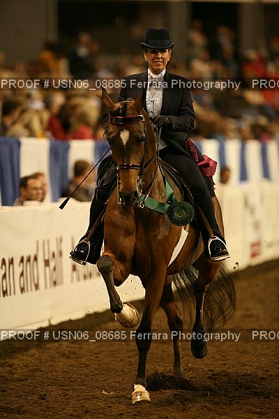 Proof Number USN06_08685