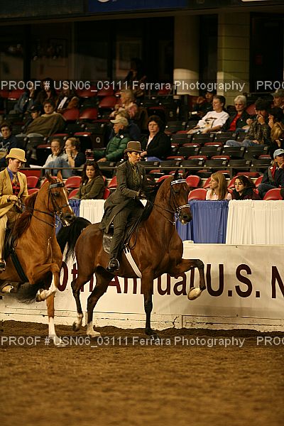 Proof Number USN06_03111