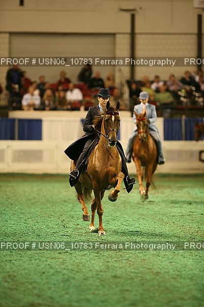 Proof Number USN06_10783