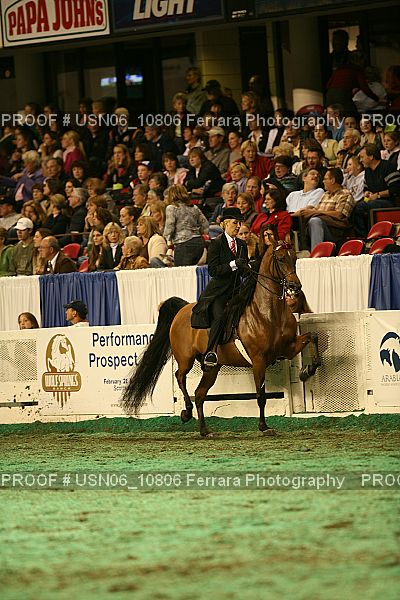 Proof Number USN06_10806