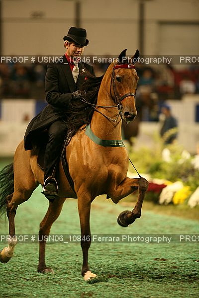 Proof Number USN06_10846