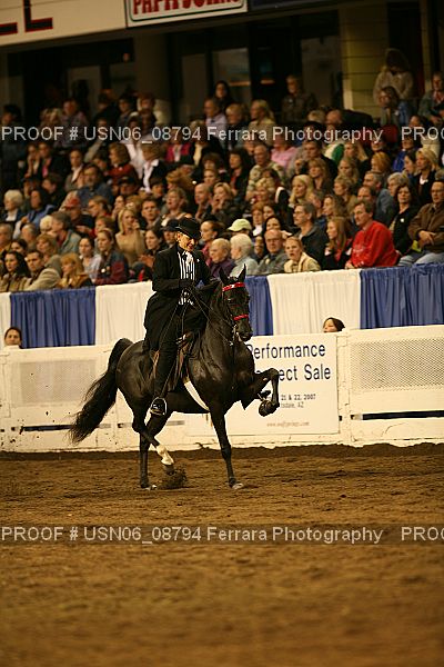 Proof Number USN06_08794