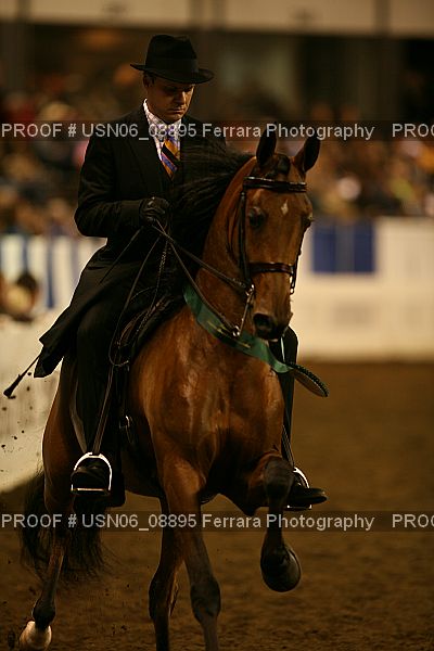 Proof Number USN06_08895