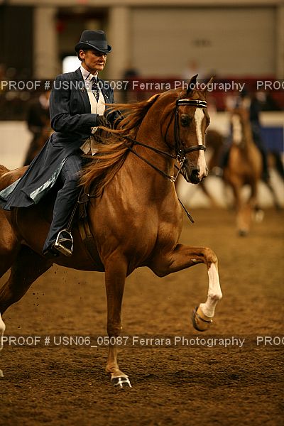 Proof Number USN06_05087