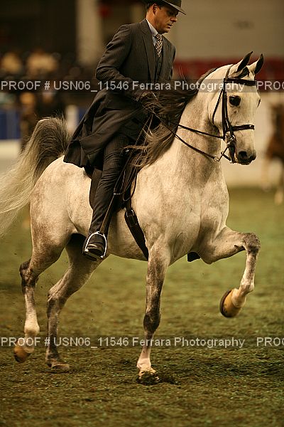 Proof Number USN06_11546