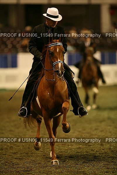 Proof Number USN06_11549