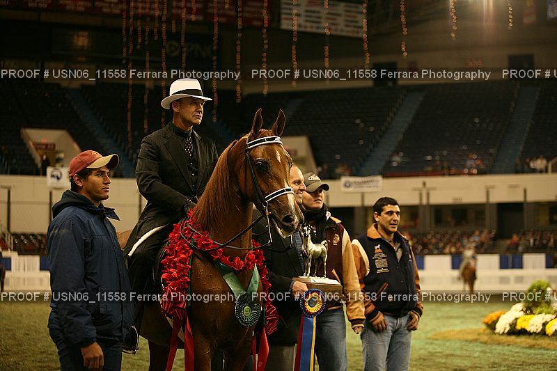 Proof Number USN06_11558