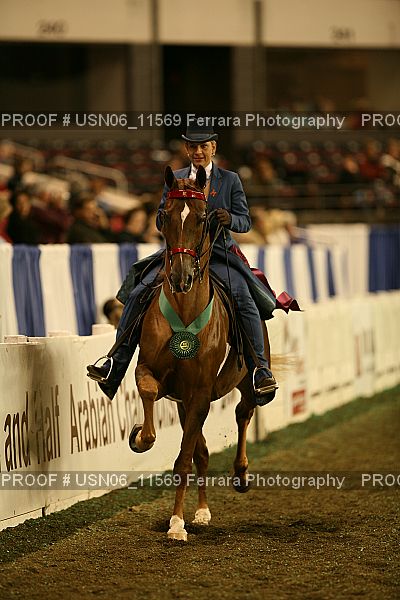 Proof Number USN06_11569
