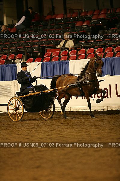 Proof Number USN06_07103