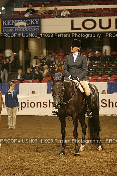 Proof Number USN06_11028