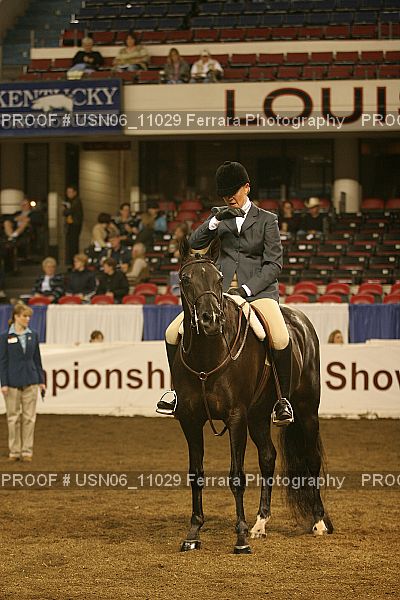 Proof Number USN06_11029