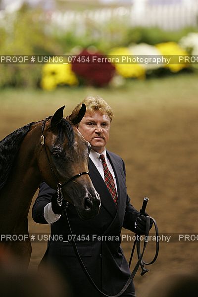 Proof Number USN06_07454