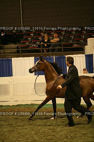 Proof Number USN06_11616