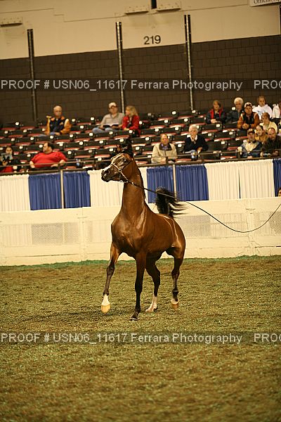 Proof Number USN06_11617