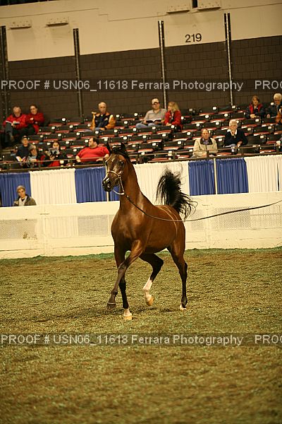 Proof Number USN06_11618