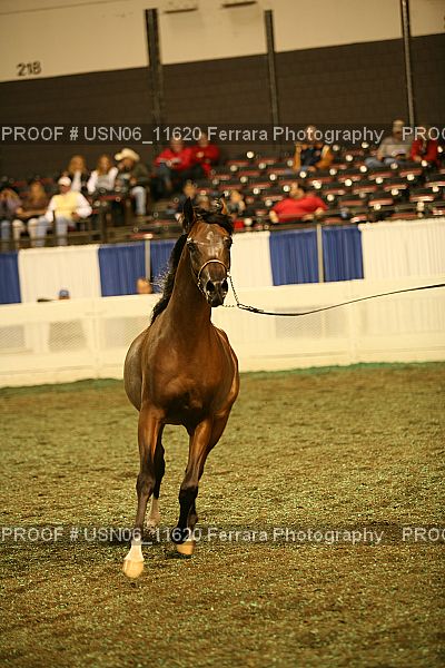 Proof Number USN06_11620