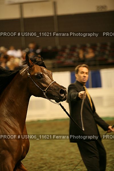 Proof Number USN06_11621