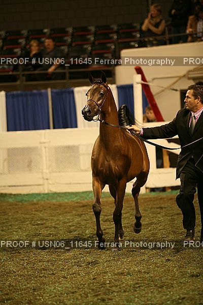 Proof Number USN06_11645