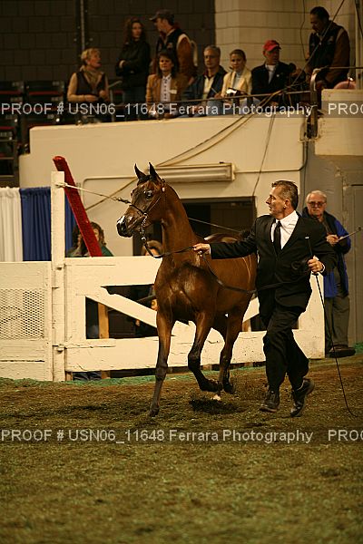 Proof Number USN06_11648