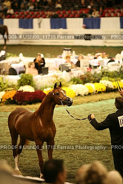Proof Number USN06_11715