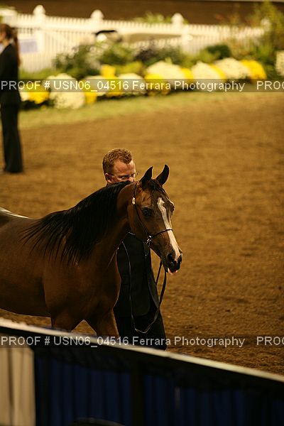 Proof Number USN06_04516