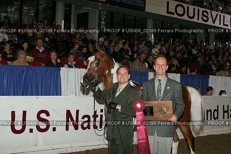 Proof Number USN06_02189