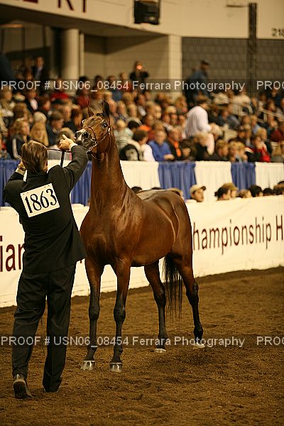 Proof Number USN06_08454