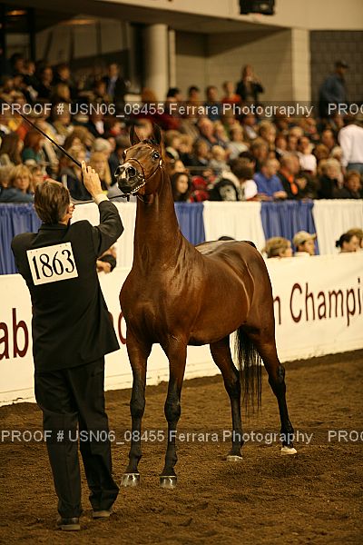 Proof Number USN06_08455