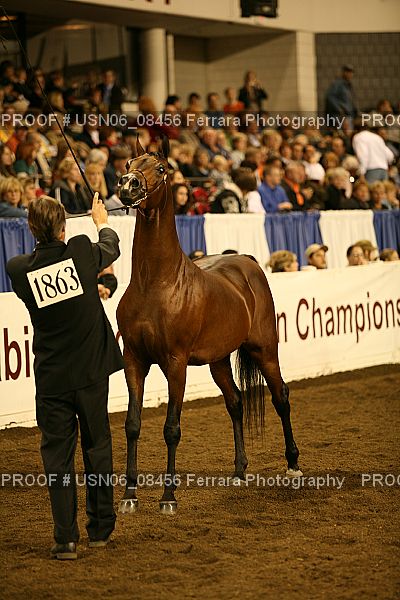 Proof Number USN06_08456