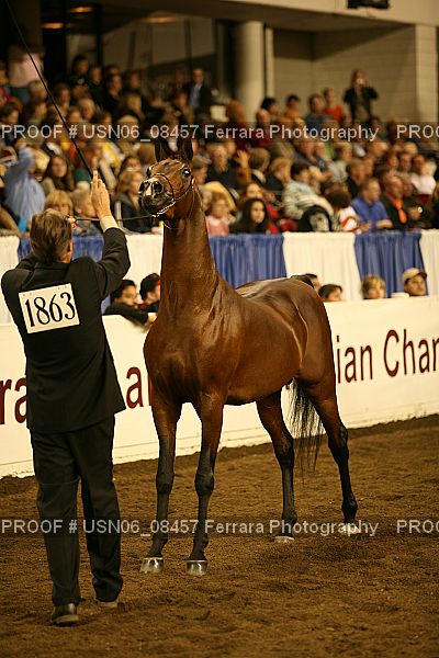 Proof Number USN06_08457